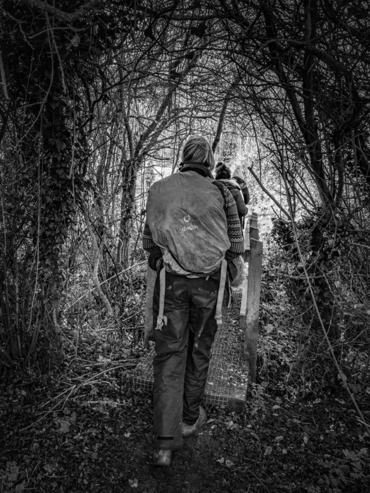 Woodland path used for reflective ecological walks.